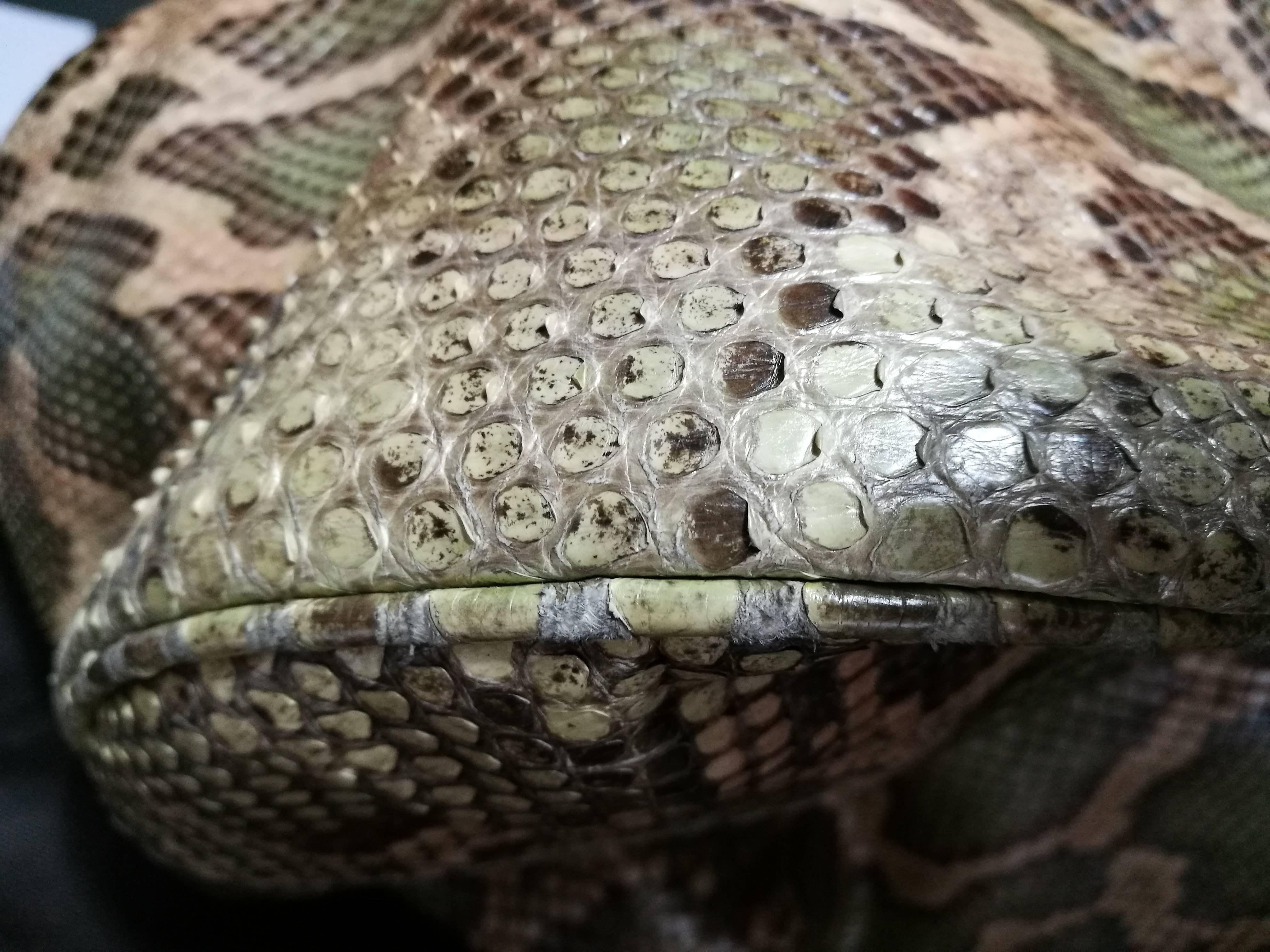 python gucci bag