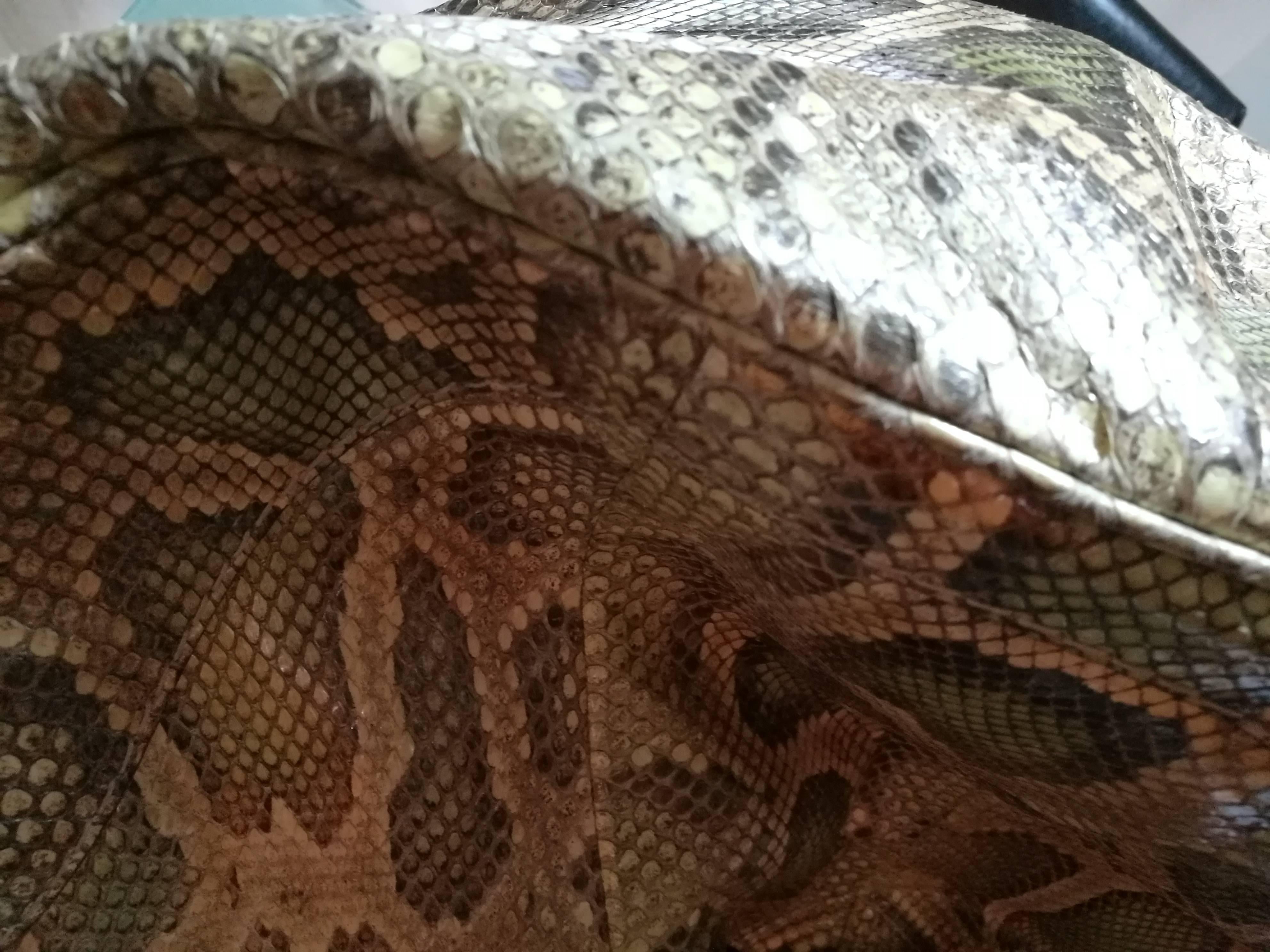 Brown Gucci Green nude tone Python Skin Shoulder Bag