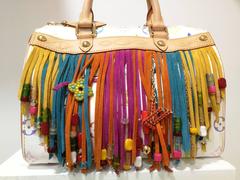 Louis Vuitton limited edition speedy with fringe