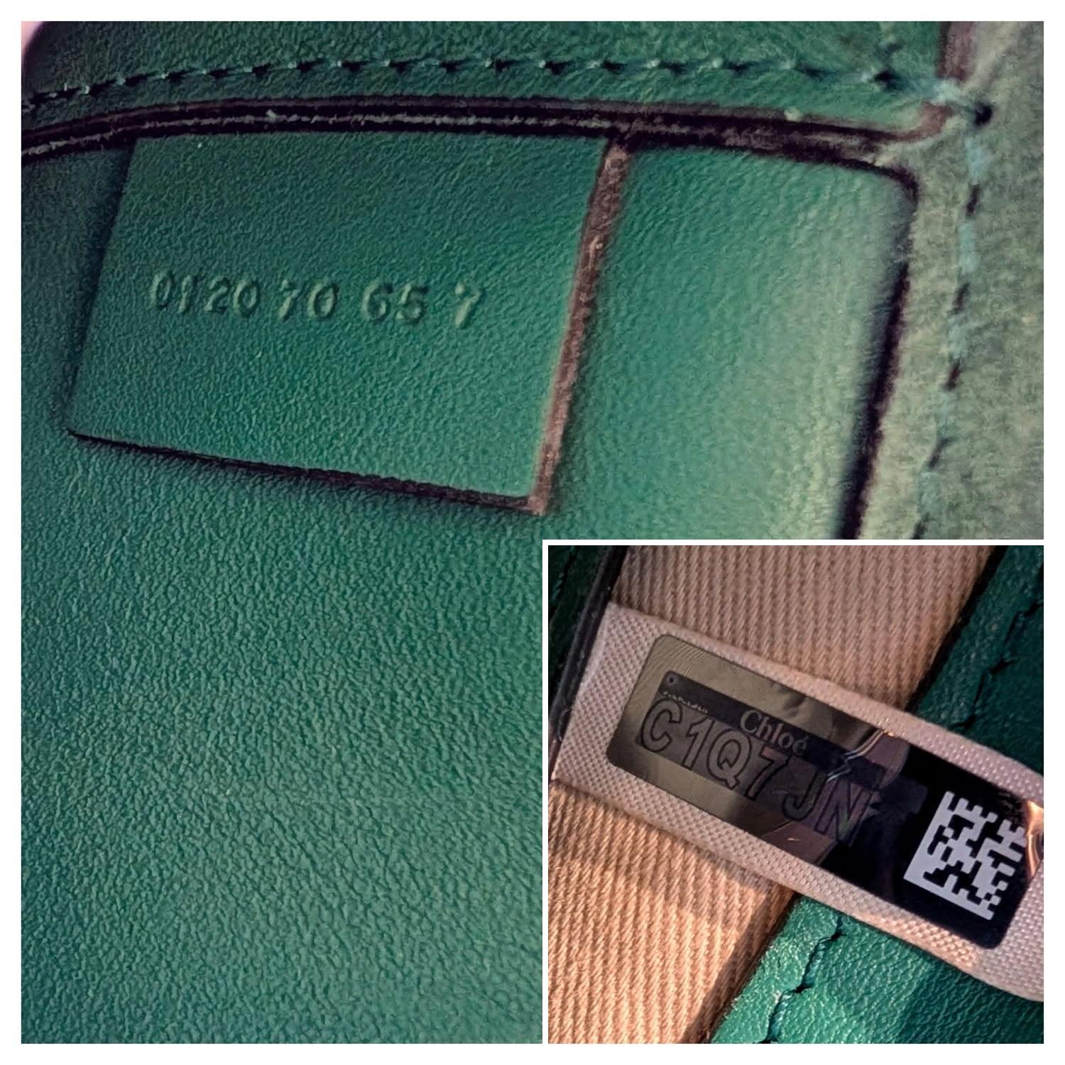 Chloe Borsa a tracolla Tess piccola in rilievo con coccodrillo Greene & Greene in vendita 3