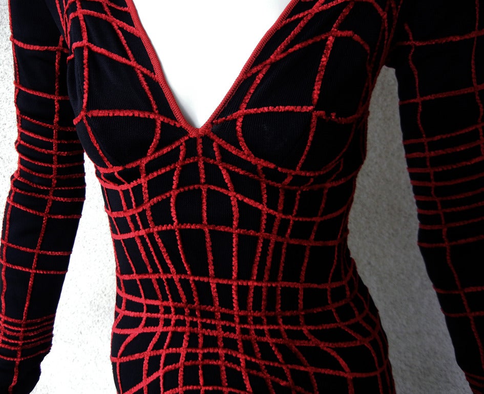 spider fashion