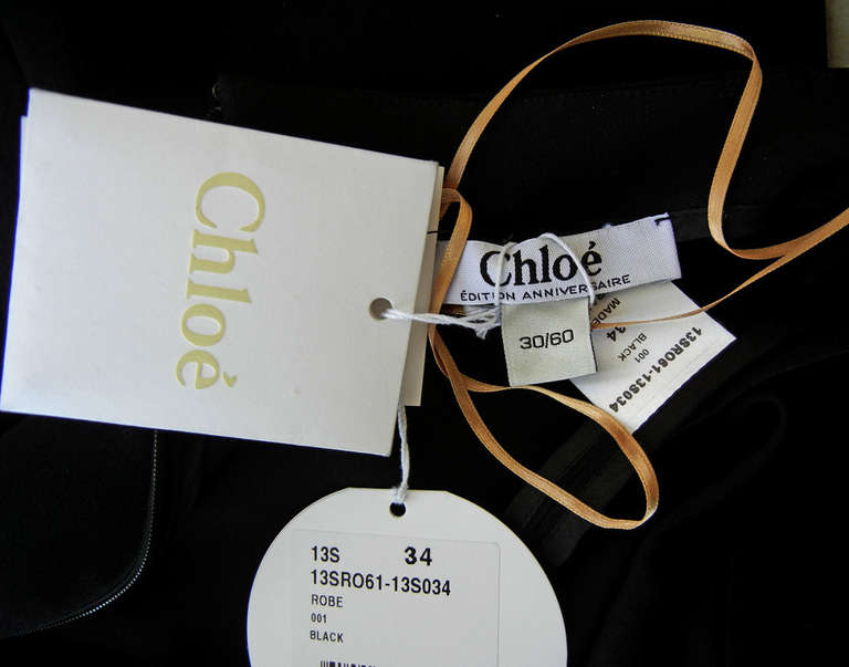 Chloe Violin Dress Documented Limited Edition by Karl Lagerfeld/Chanel In New Condition In Los Angeles, CA