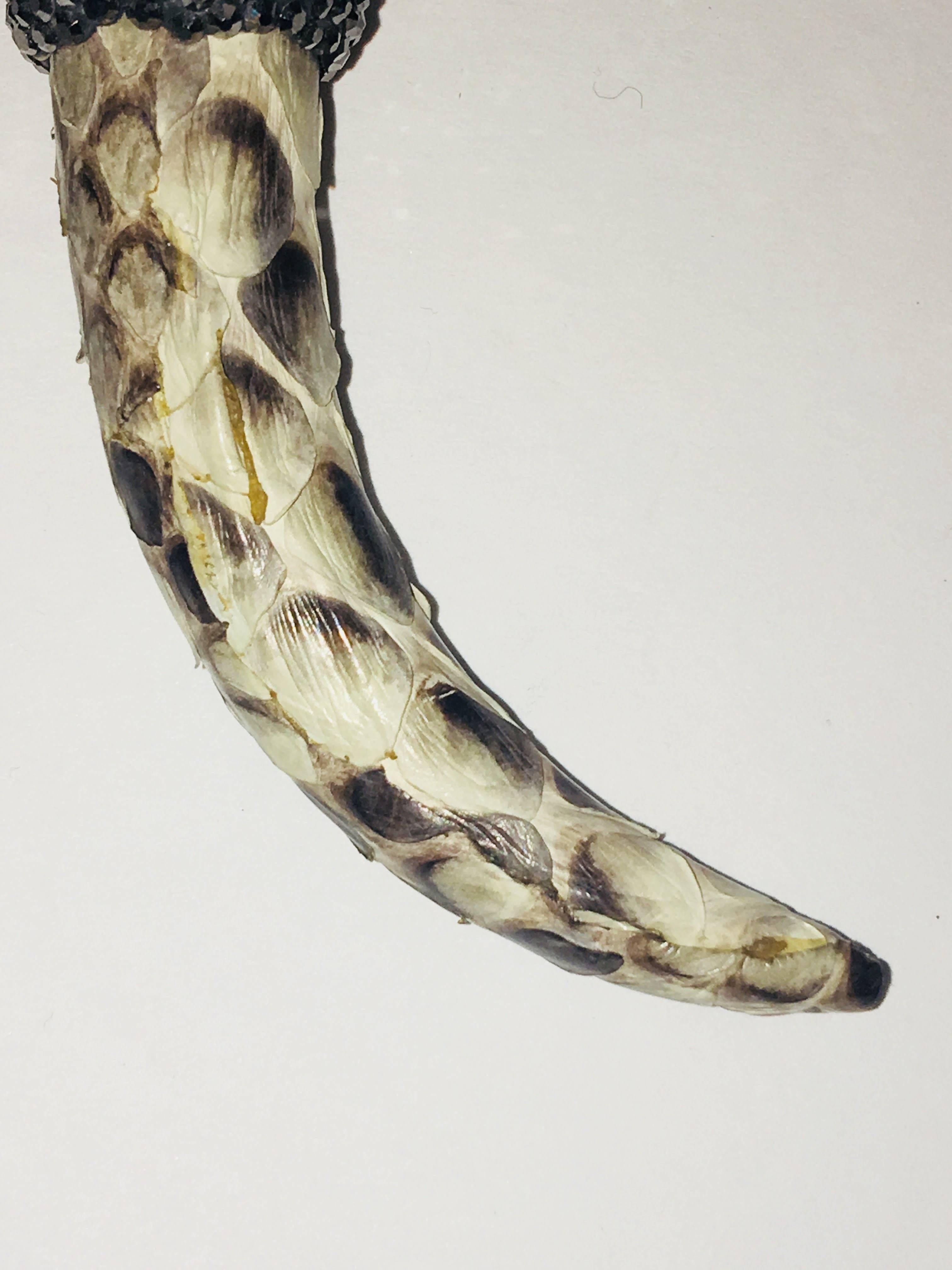 Good Luck Horn with Python, Pearl, and Crystal In Excellent Condition In Bridgehampton, NY