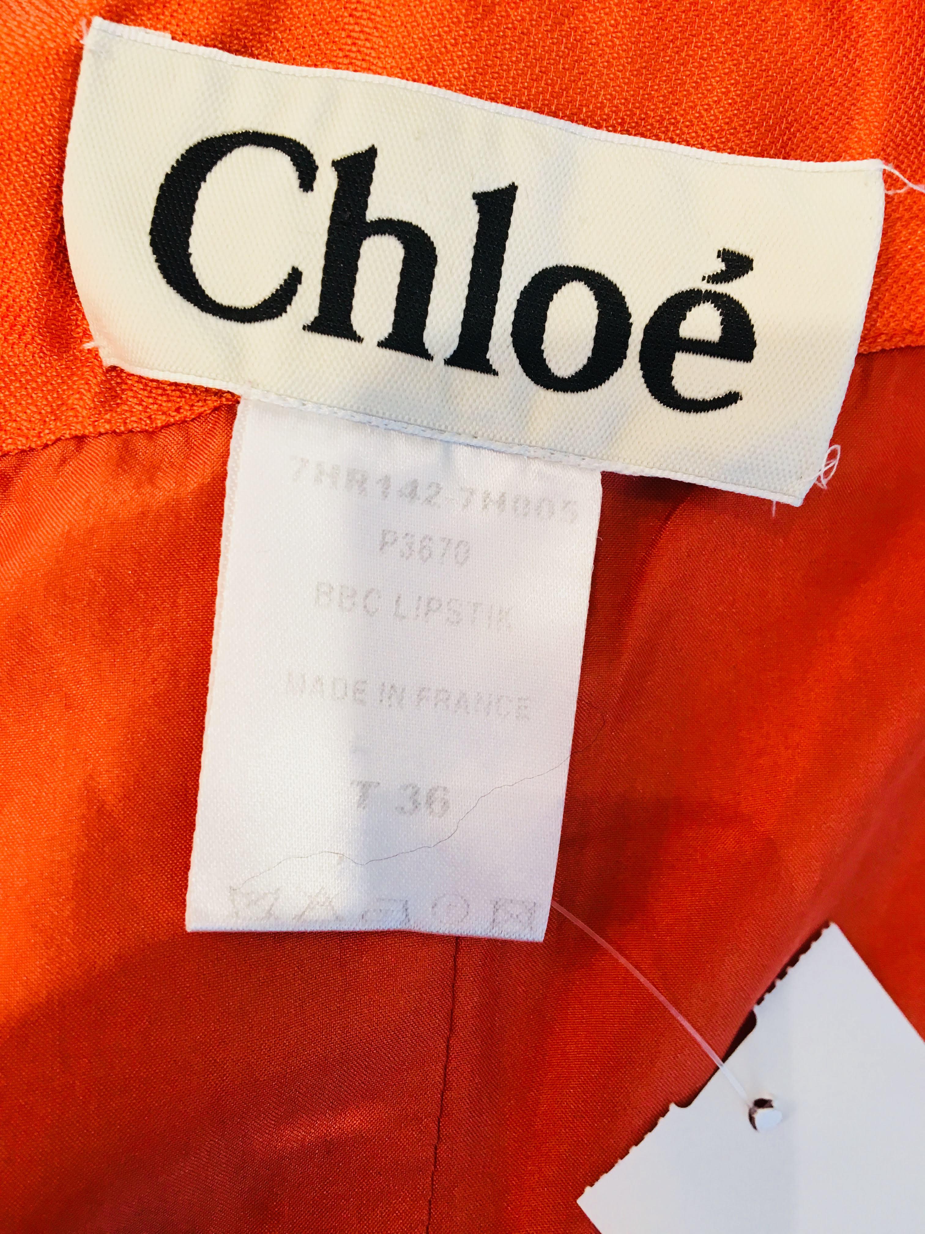 Chloe Mini Dress  4