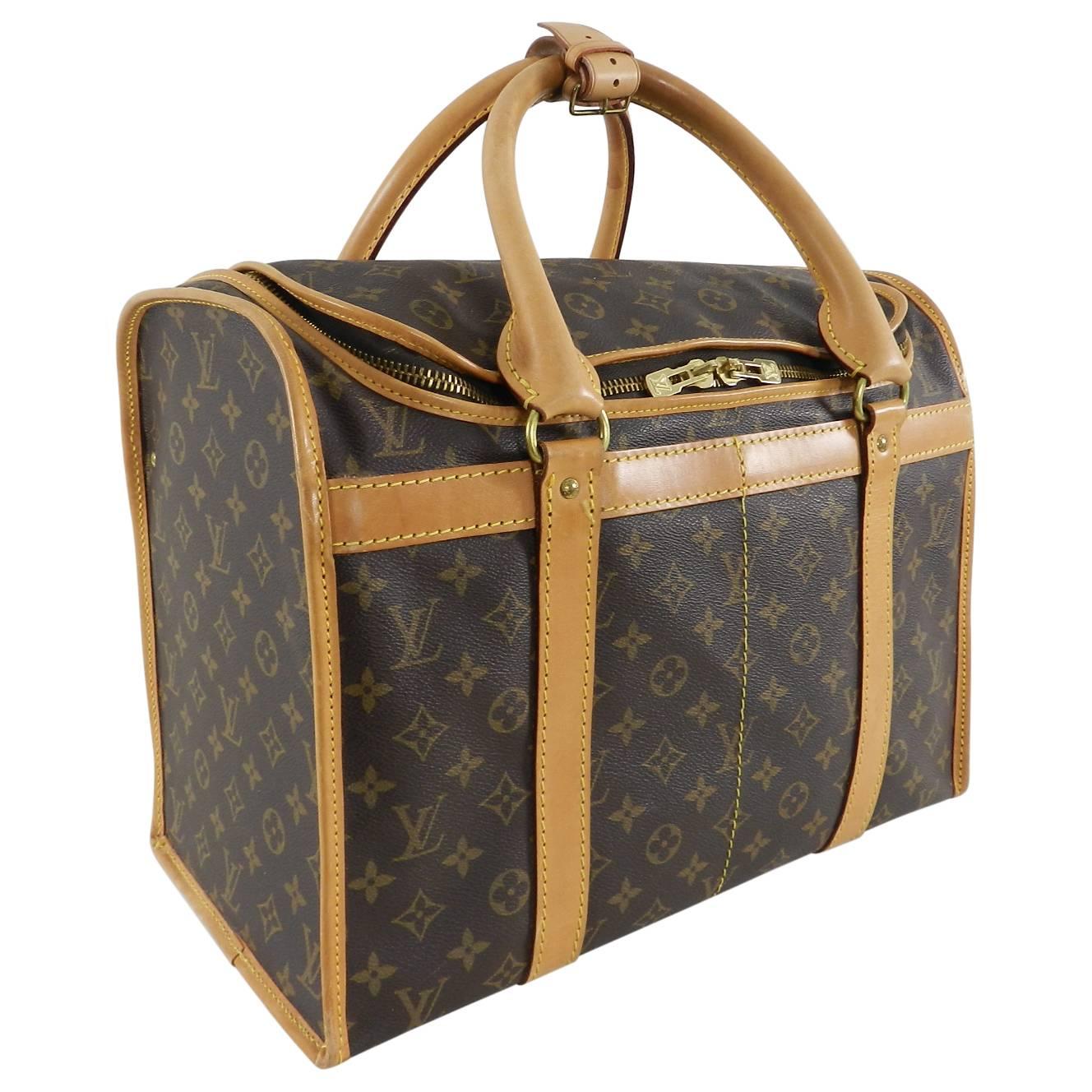 louis vuitton sac chien