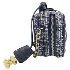 Chanel Blue Python CC Filigree Vanity Case Bag, 2018