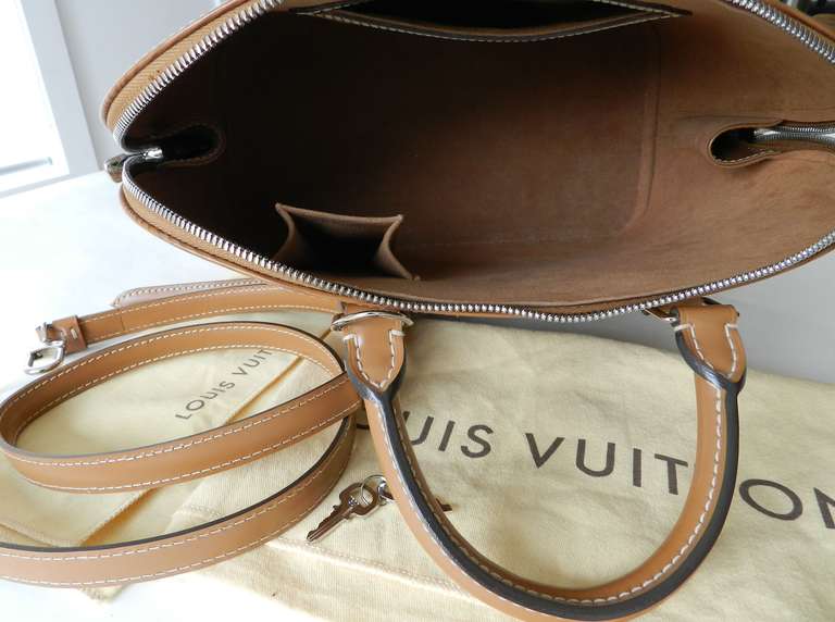 Louis Vuitton Epi Alma PM Moka Brown with Strap at 1stdibs