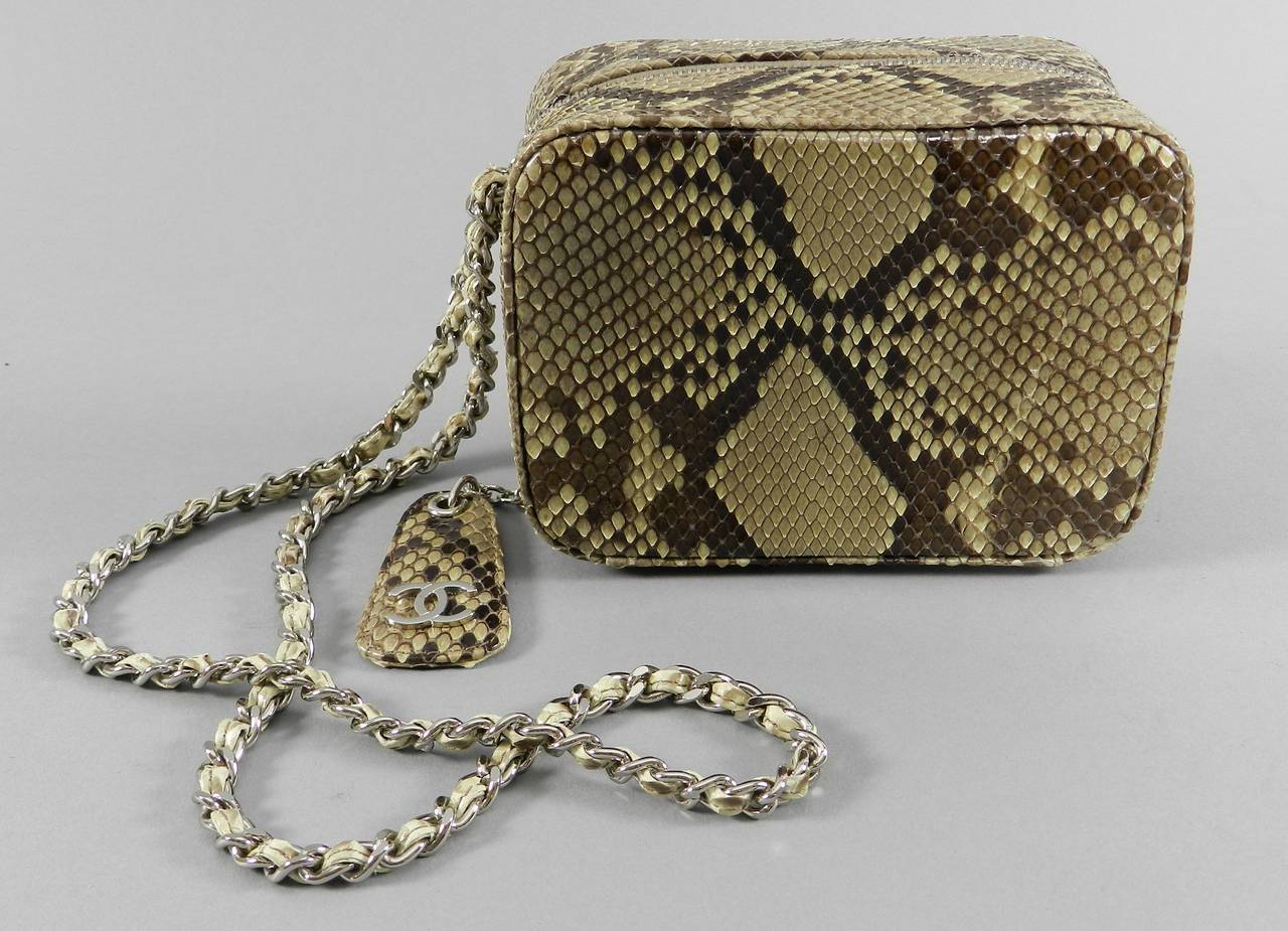 Chanel Vintage 2000 Fall Runway Python Box Bag Wristlet 3