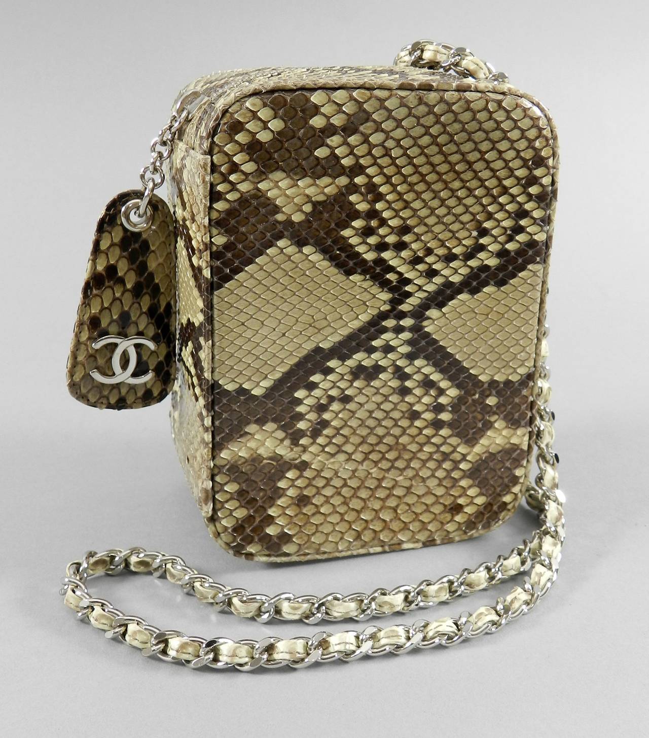 Brown Chanel Vintage 2000 Fall Runway Python Box Bag Wristlet