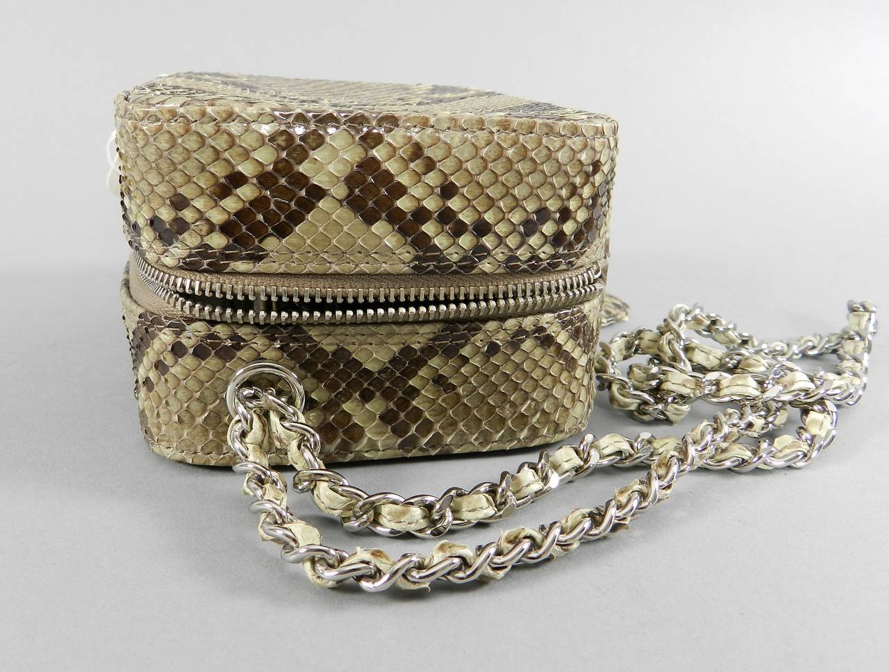 Chanel Vintage 2000 Fall Runway Python Box Bag Wristlet 2