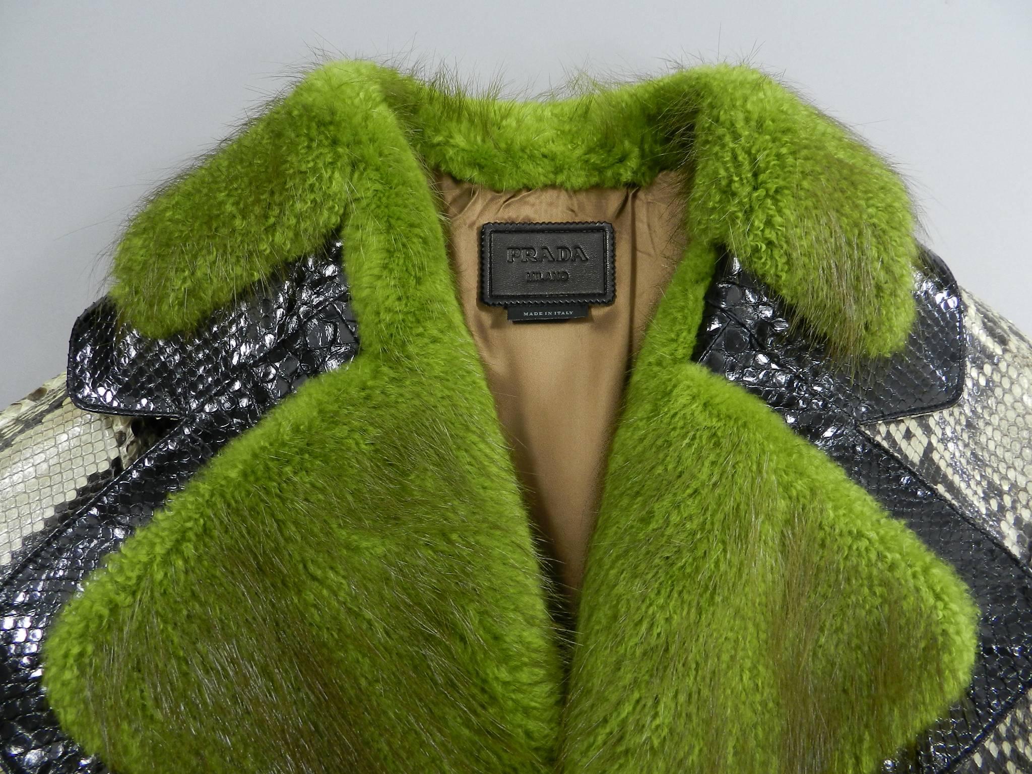 Prada Fall 2011 Runway Ad Campaign Python and Green Fur Coat 2