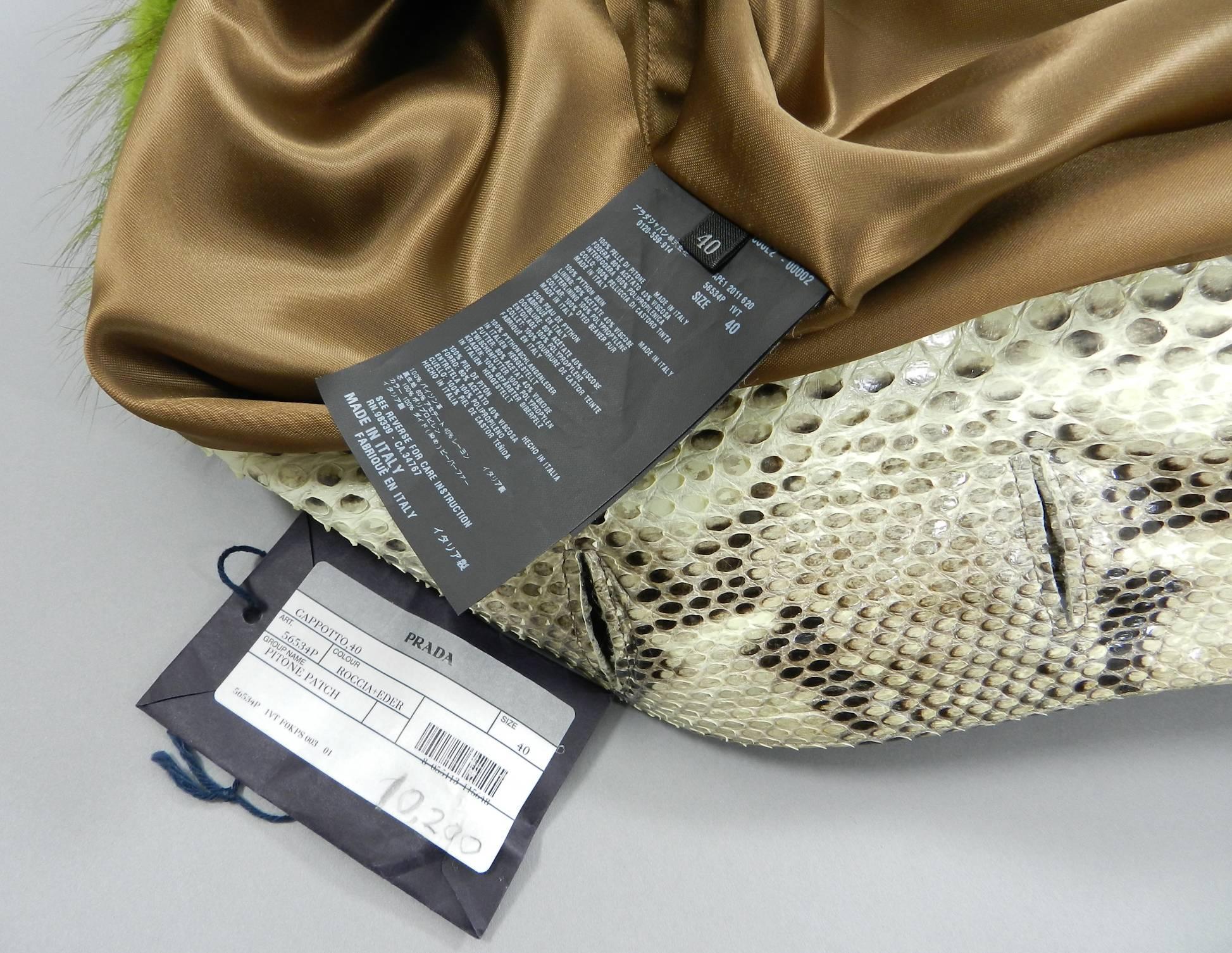 Prada Fall 2011 Runway Ad Campaign Python and Green Fur Coat 3