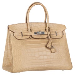 Hermès Birkin 35cm Poussiere Alligator Mat Palladium Hardware