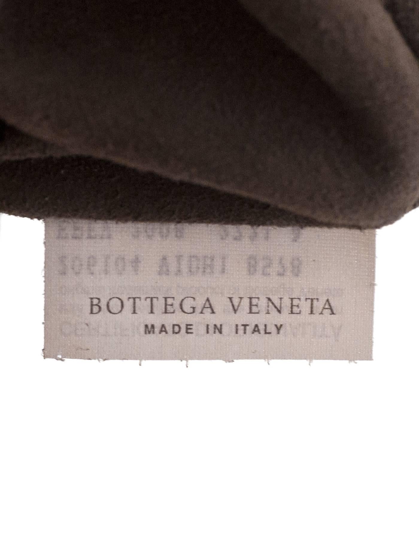Bottega Veneta Tri-Color Woven Leather Limited Edition Intrecciato Frame Bag 1