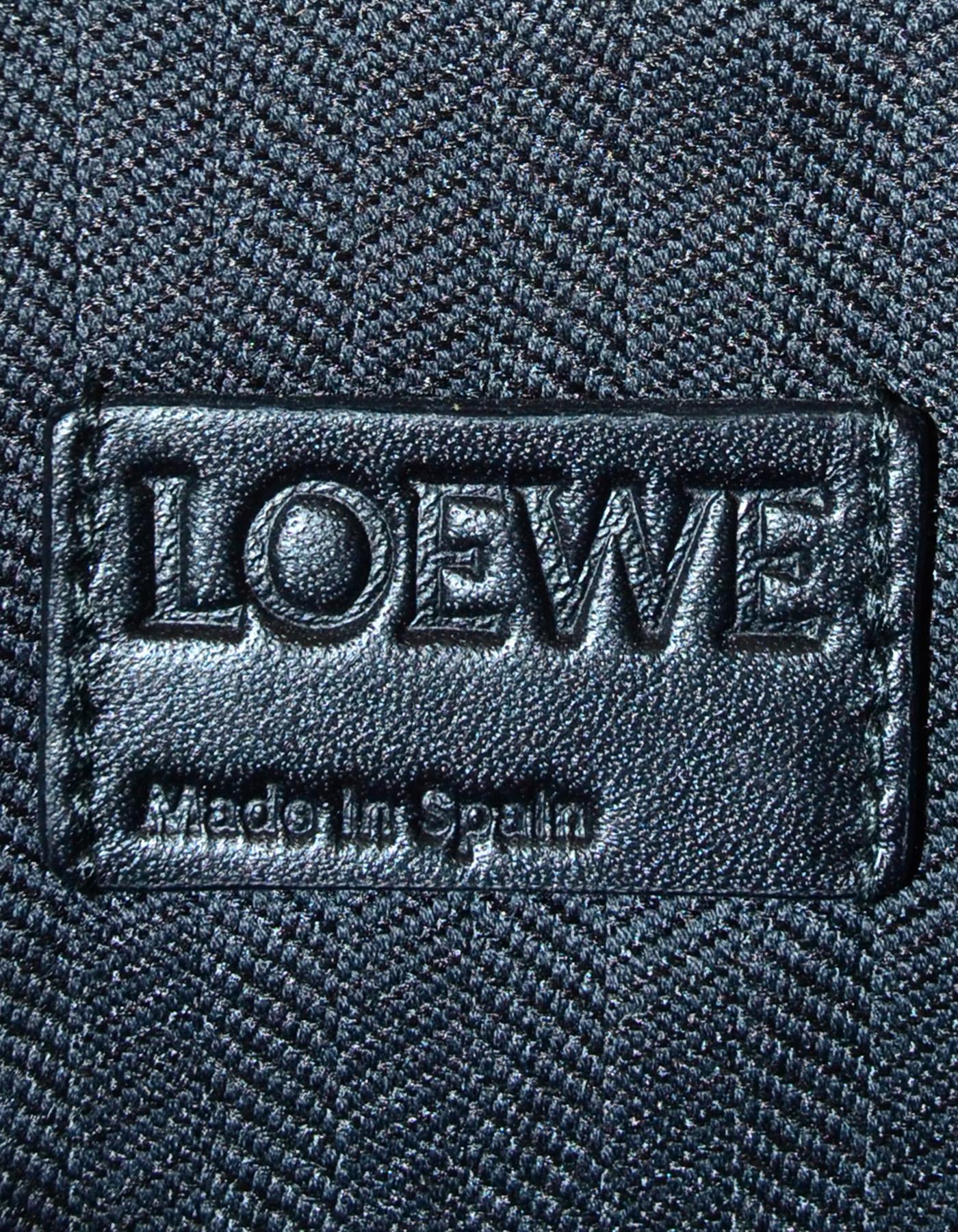 Loewe Multi-color Leather Stripe T-Pouch Flat Clutch Bag 2