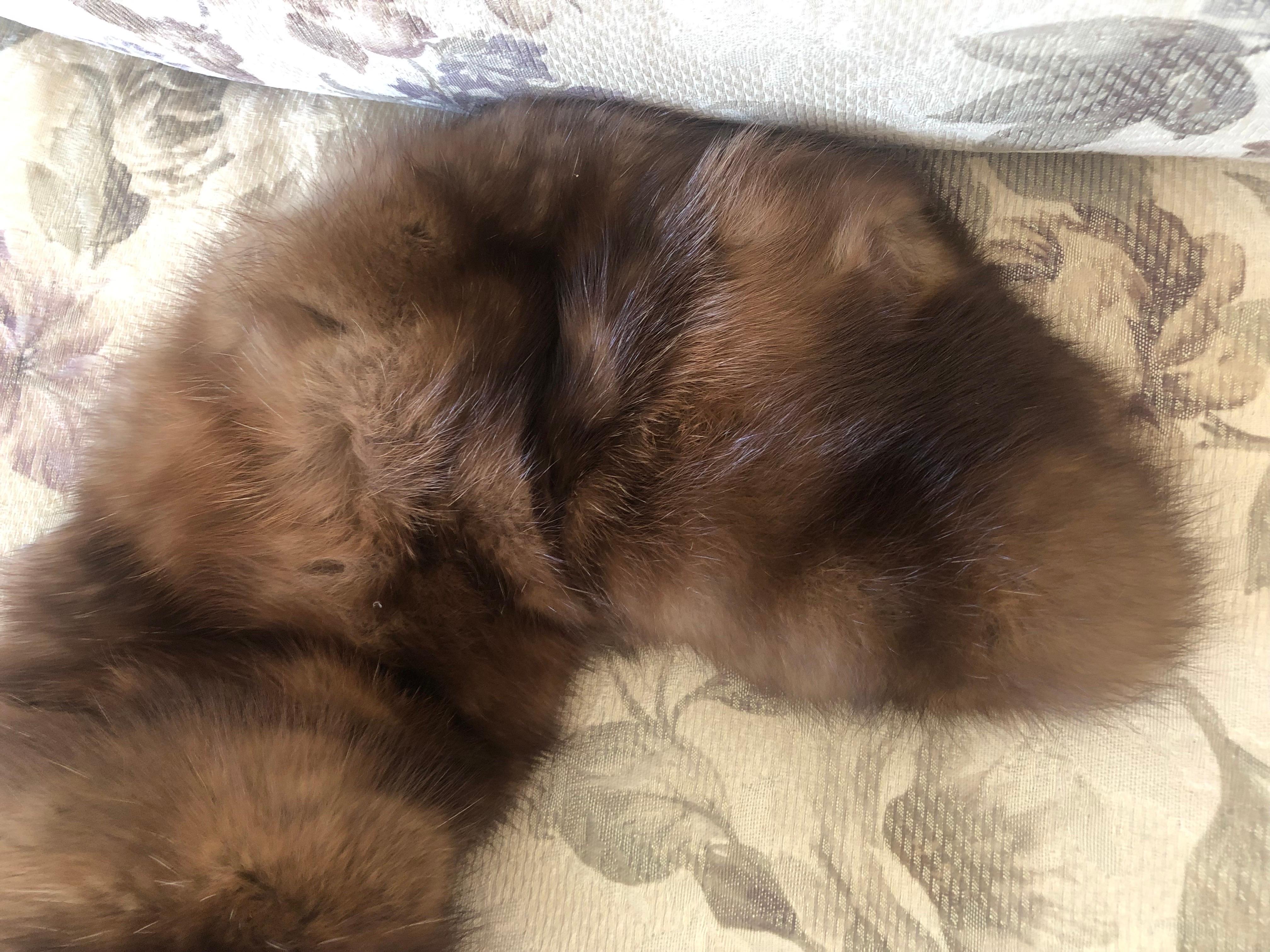 Brown Sable fur collar / scarf For Sale