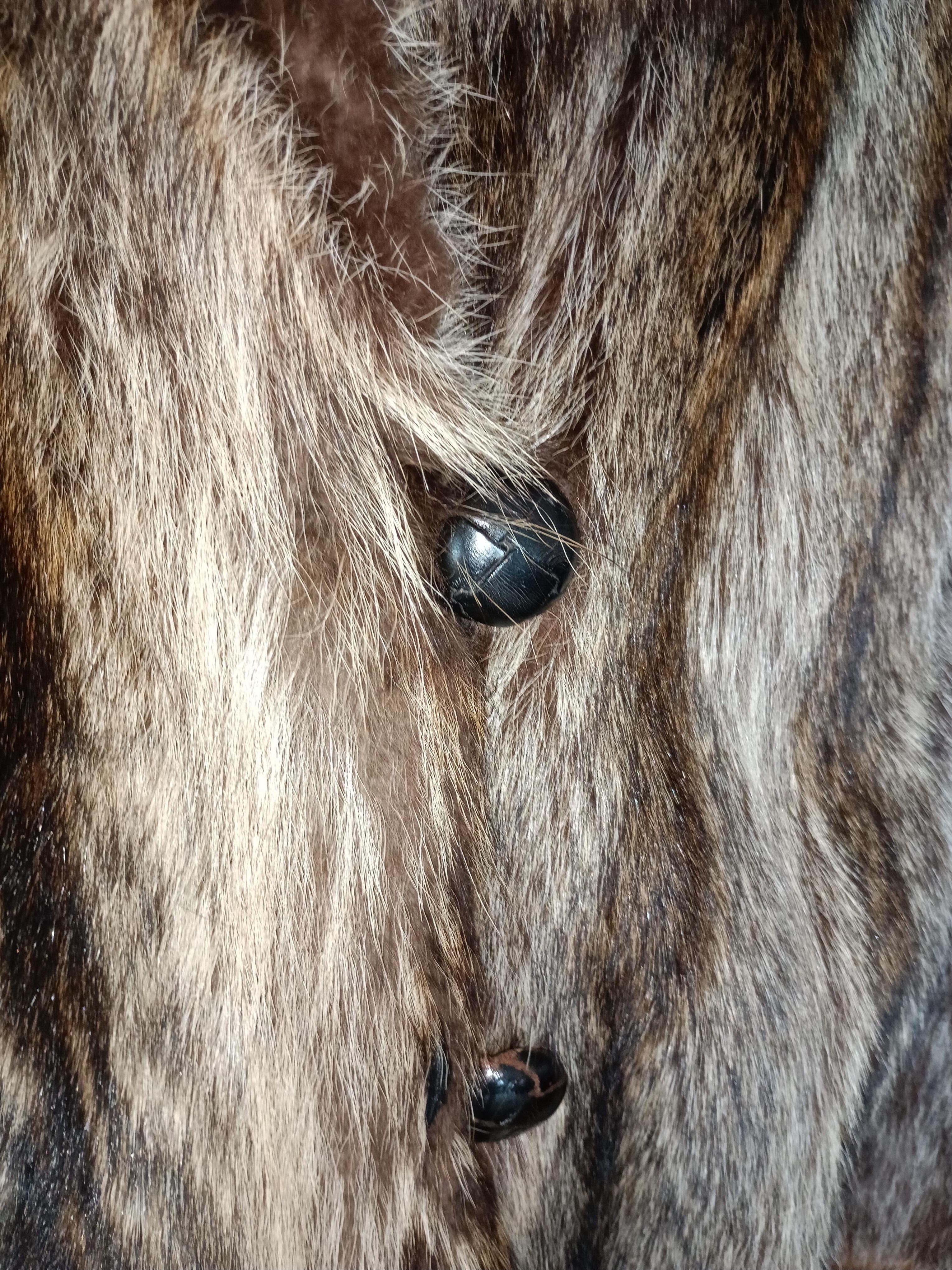 men's raccoon fur coat size M For Sale 1