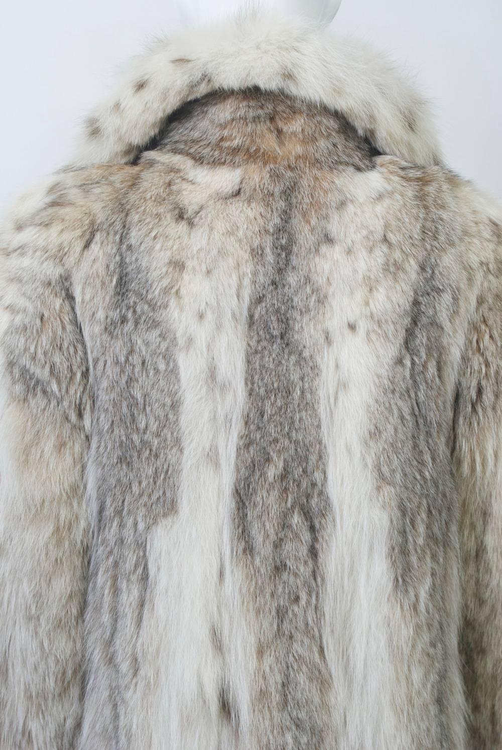 Lynx Coat 1