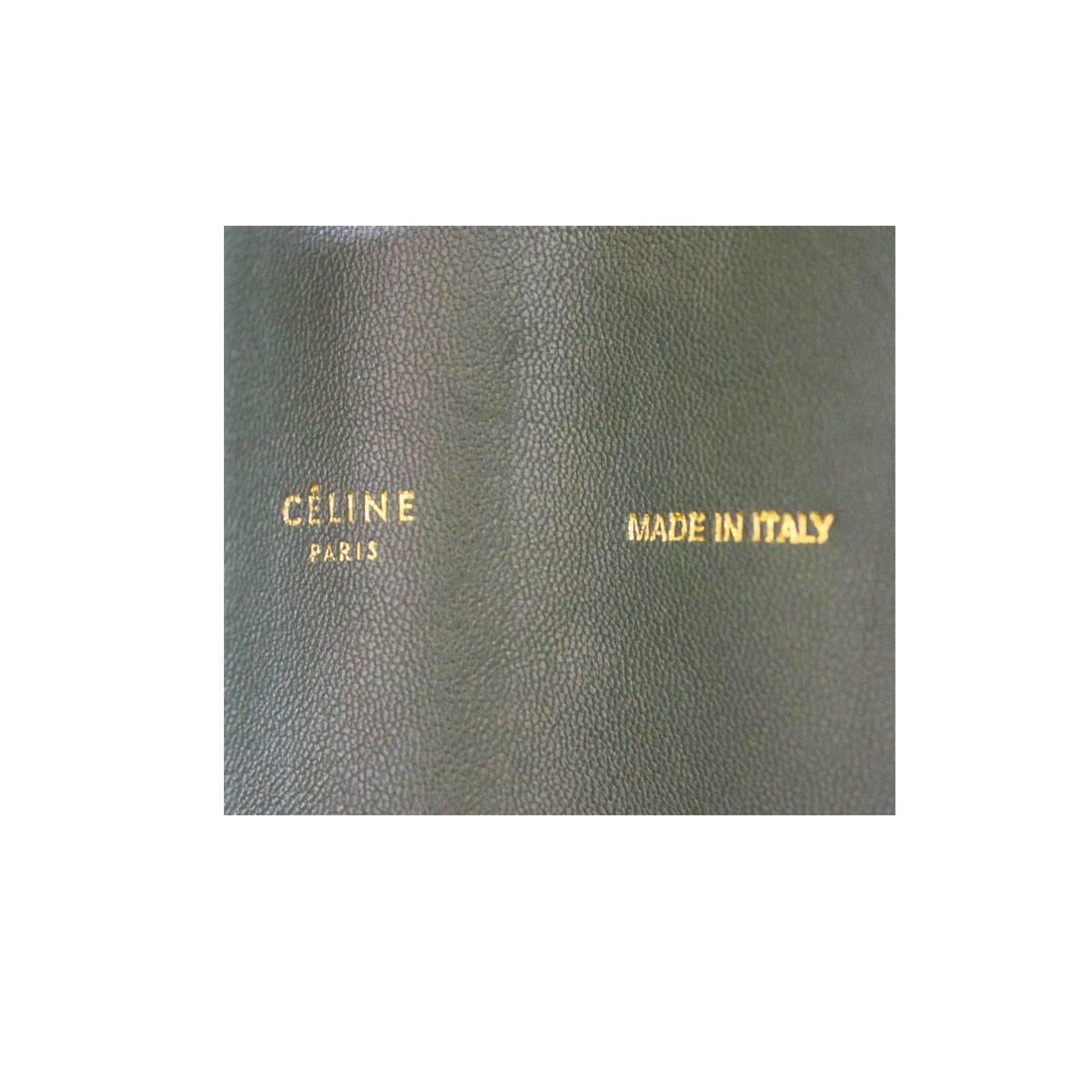 vertical bi-cabas celine  