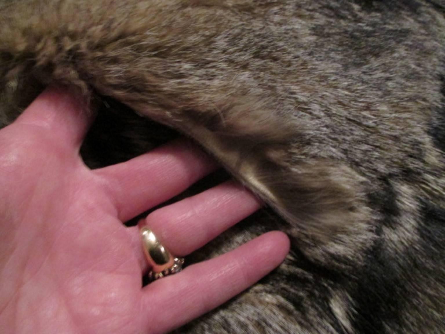 werewolf vest