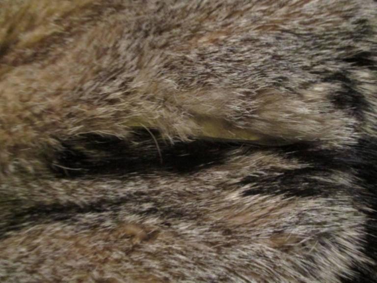 sleeveless wolf fur vest at 1stDibs wolf vest, wolf hide coat