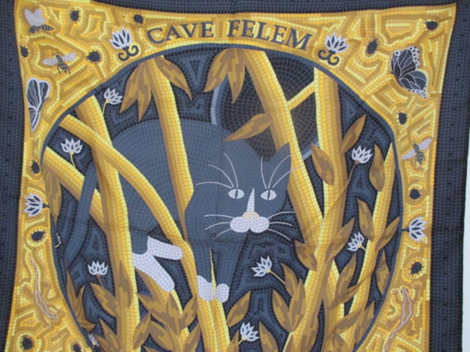 cave felem meaning