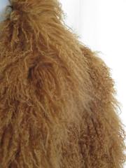 short mongolian lamb fur jacket
