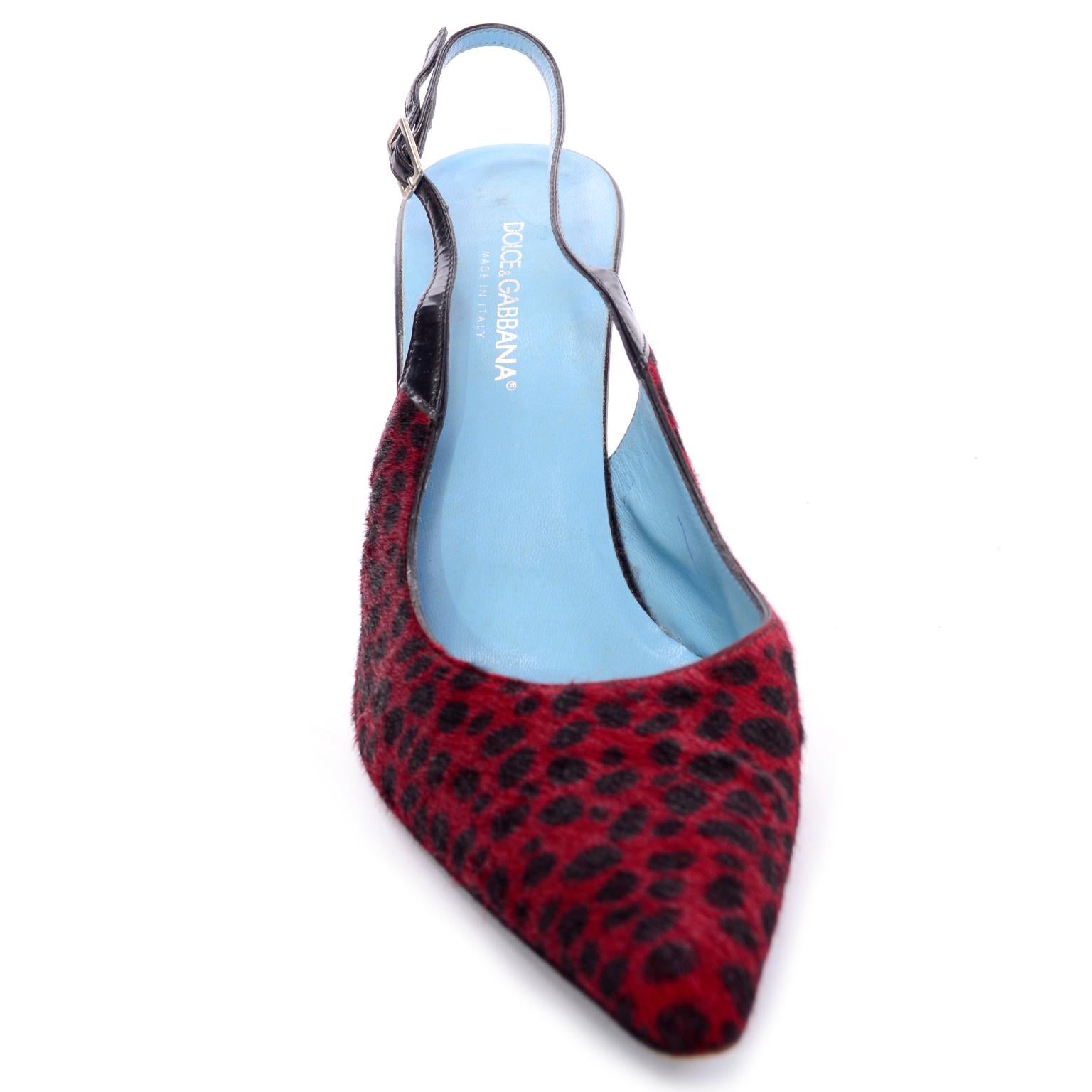 Brown Dolce & Gabbana Animal Print Shoes in Red & Black Fur Slingback Heels
