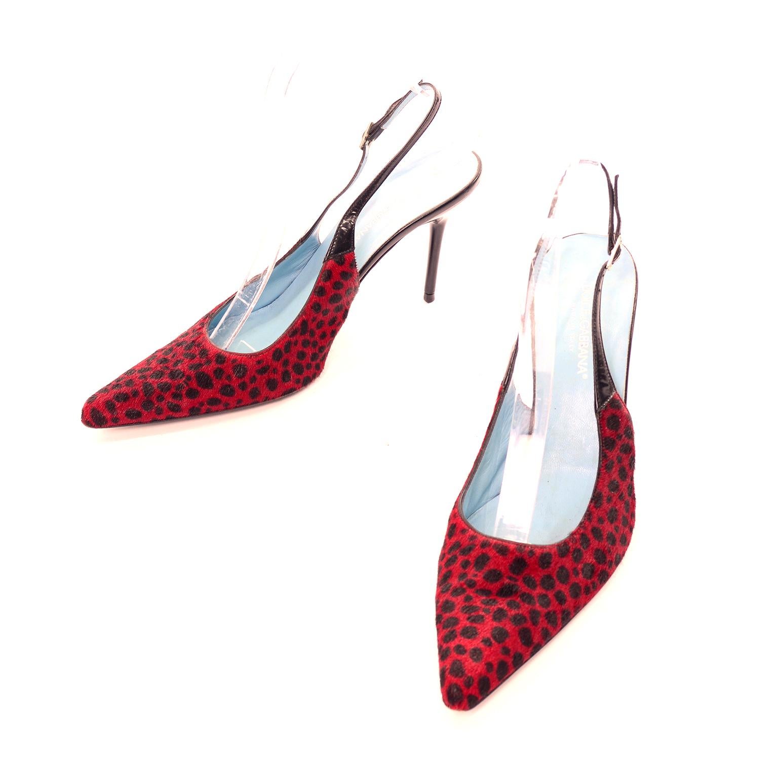 These are gorgeous Dolce & Gabbana shoes in a size Size 38.5. These slingback red and black spot animal print fur shoes have 4