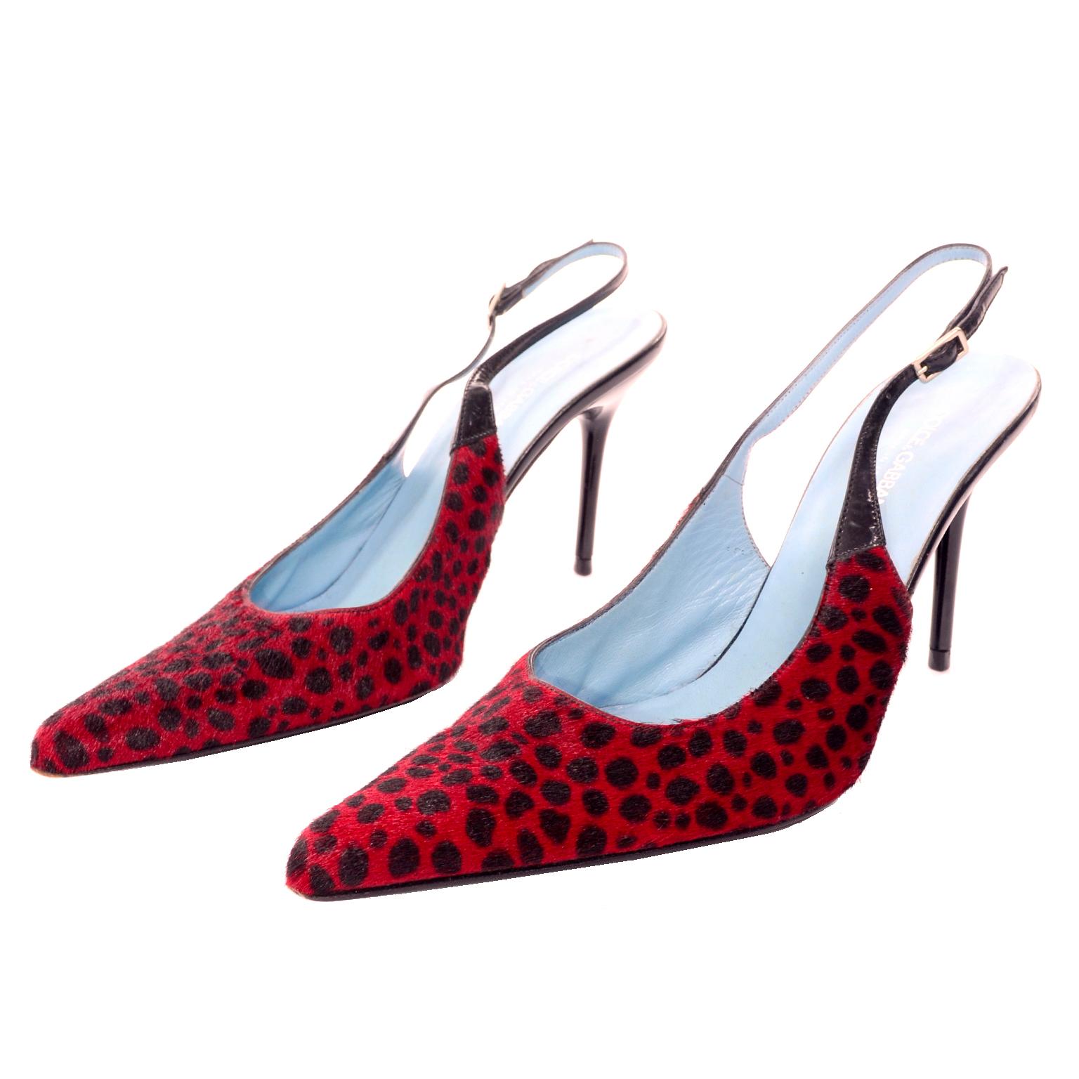 Dolce & Gabbana Animal Print Shoes in Red & Black Fur Slingback Heels