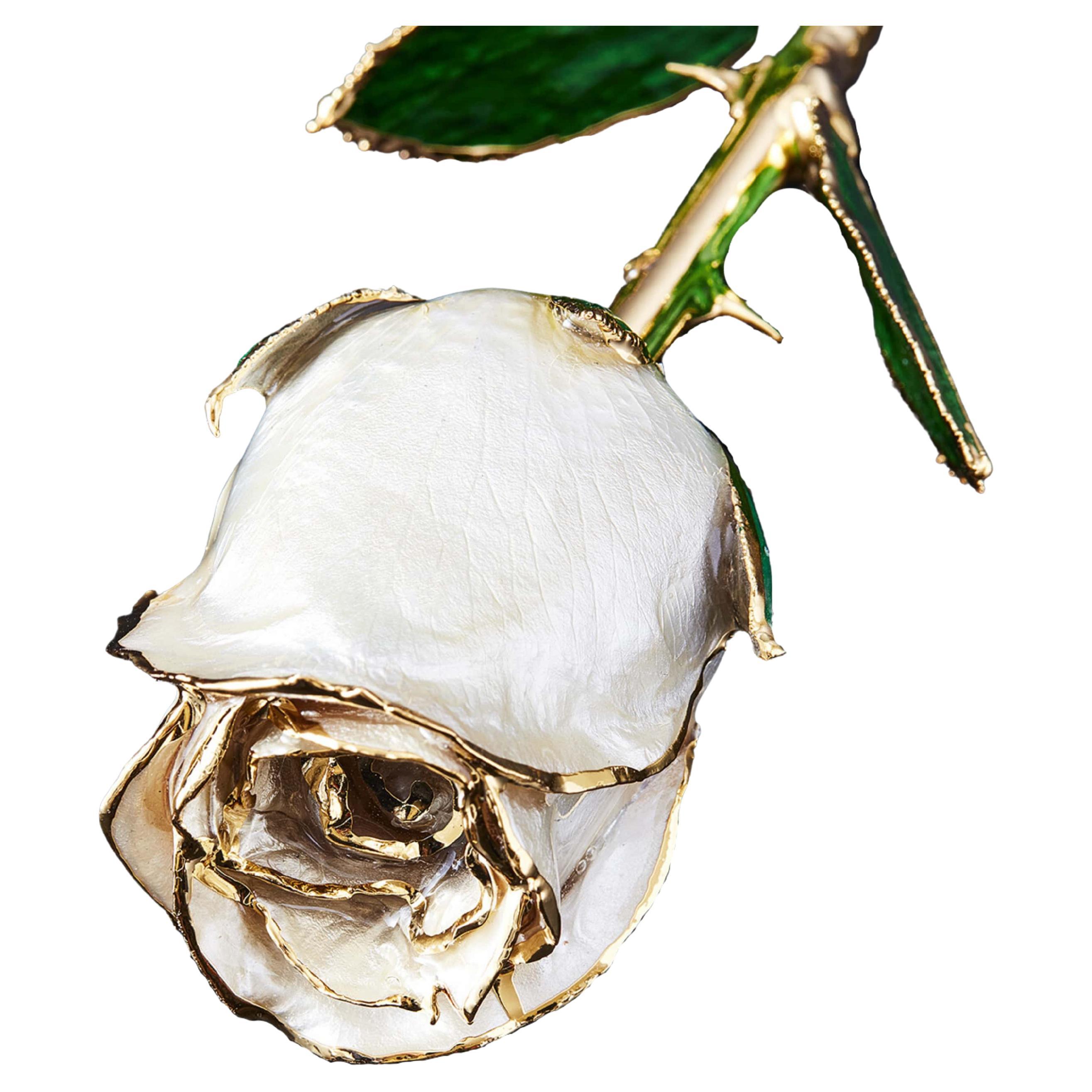 Eternal Rose Angel Dust, Weiß, Real Rose in 24k Gold mit LED-Vitrine im Angebot