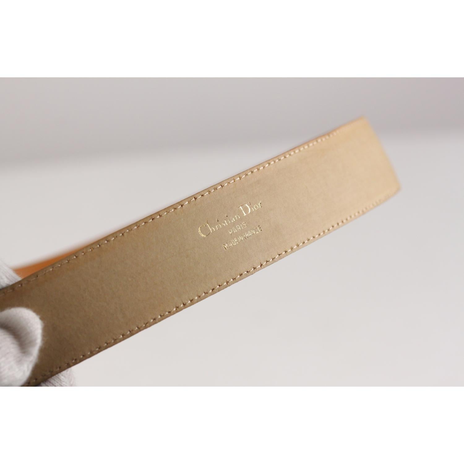 dior logo belt