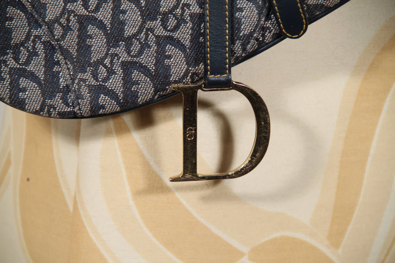 dior logo saddle bag