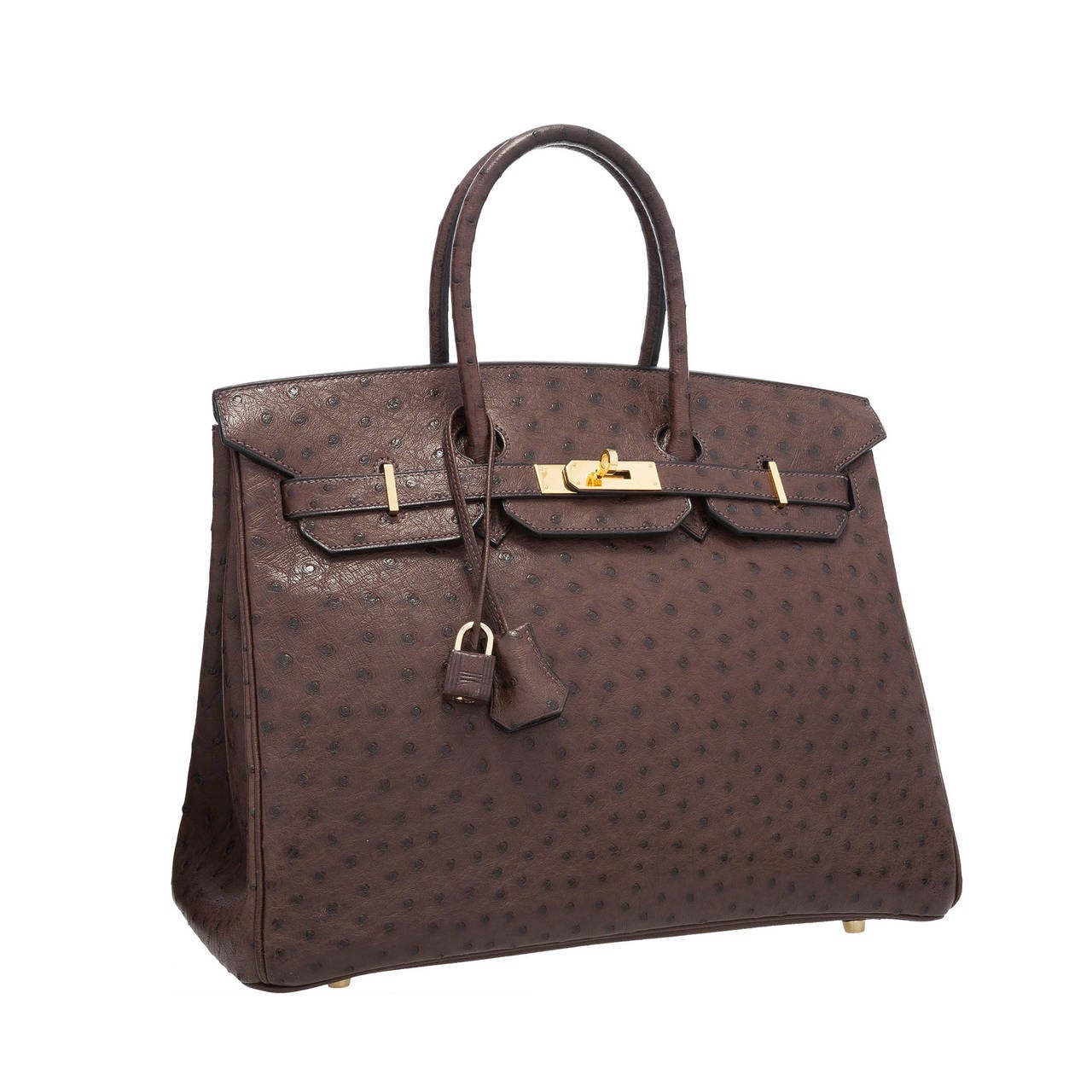 Hermes 35cm Havane Ostrich Birkin Bag with Gold Hardware For Sale
