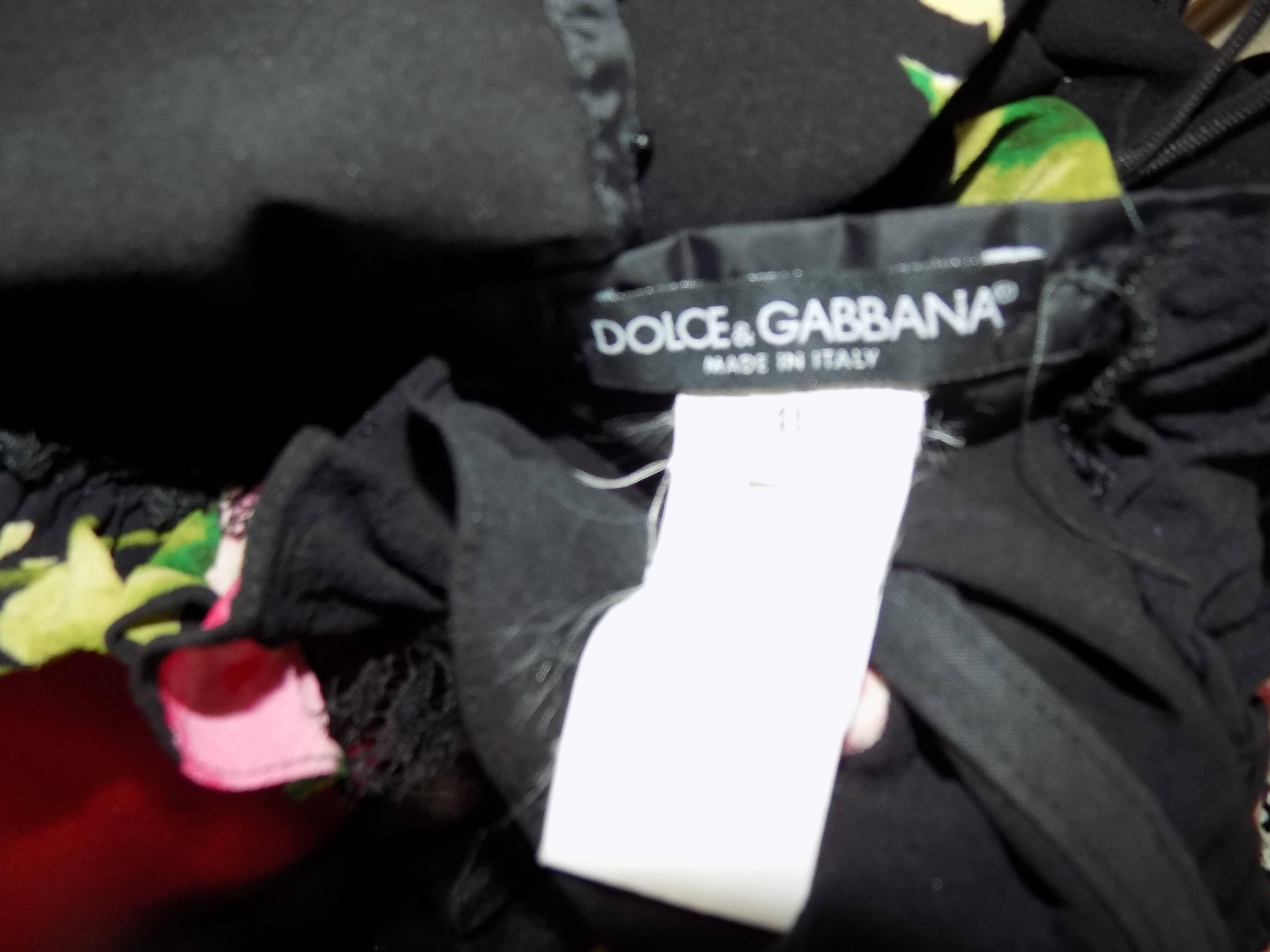 Women's Iconic Dolce & Gabbana 
