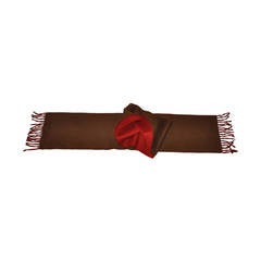 Thick 2-Ply Red & Coco Brown Cashmere with Fringe Scarf