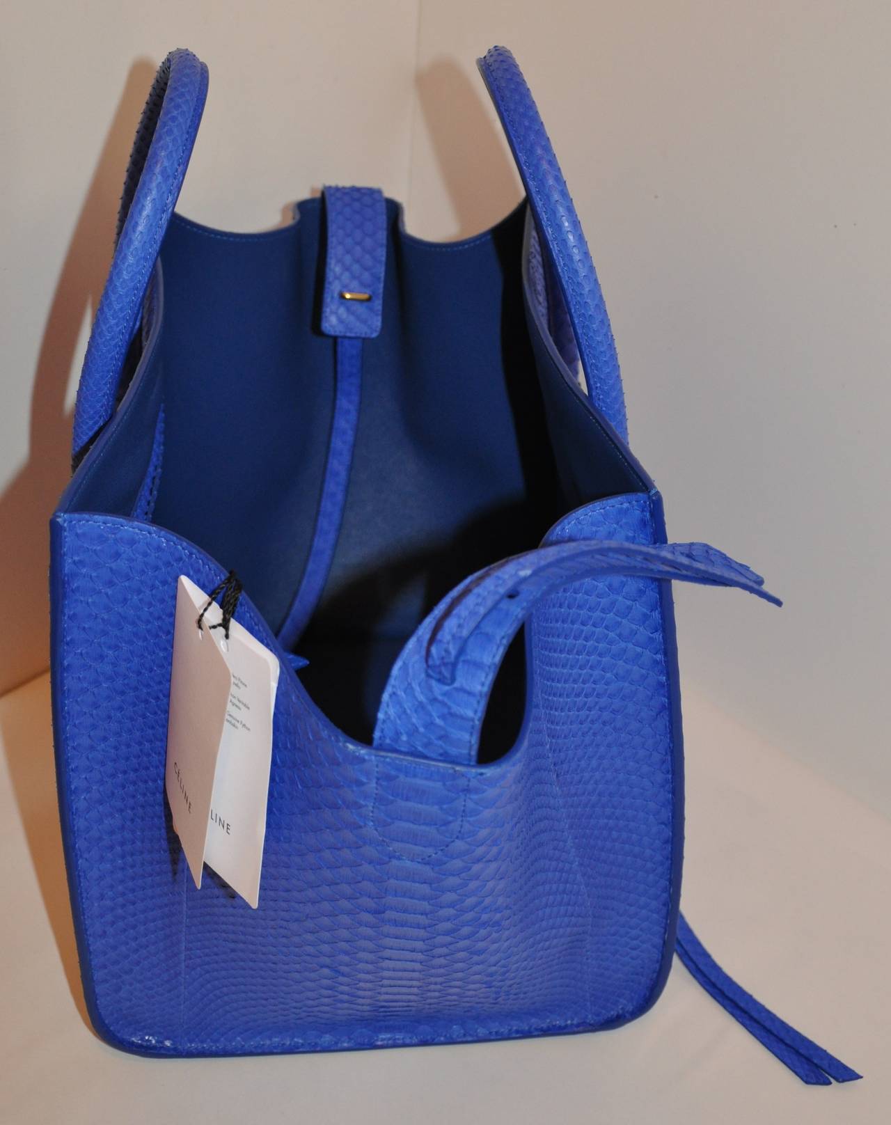 Celine Blue Python Handbag 1