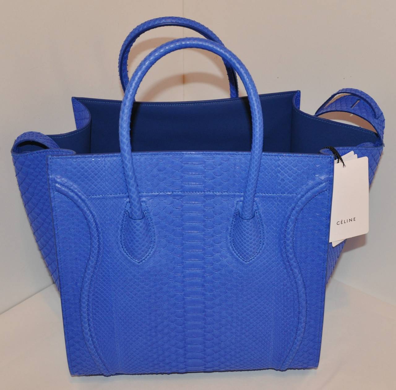 This wonderful rich and luxurious soft exotic pylon skin medium size Celine handbag is lined with soft lambskin accented with a zippered compartment with attached 3.5
