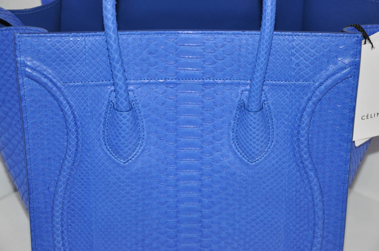 Celine Blue Python Handbag 3