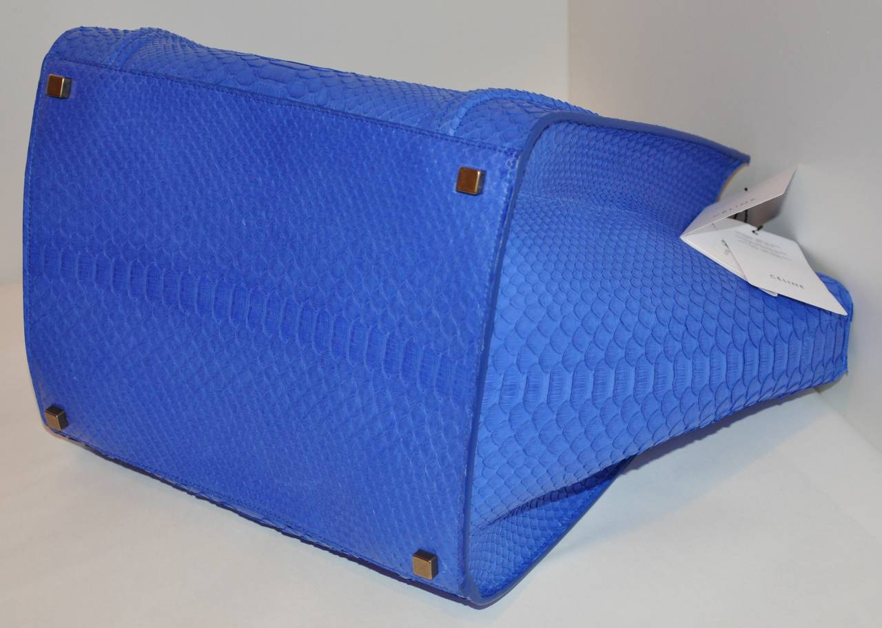 Celine Blue Python Handbag 2