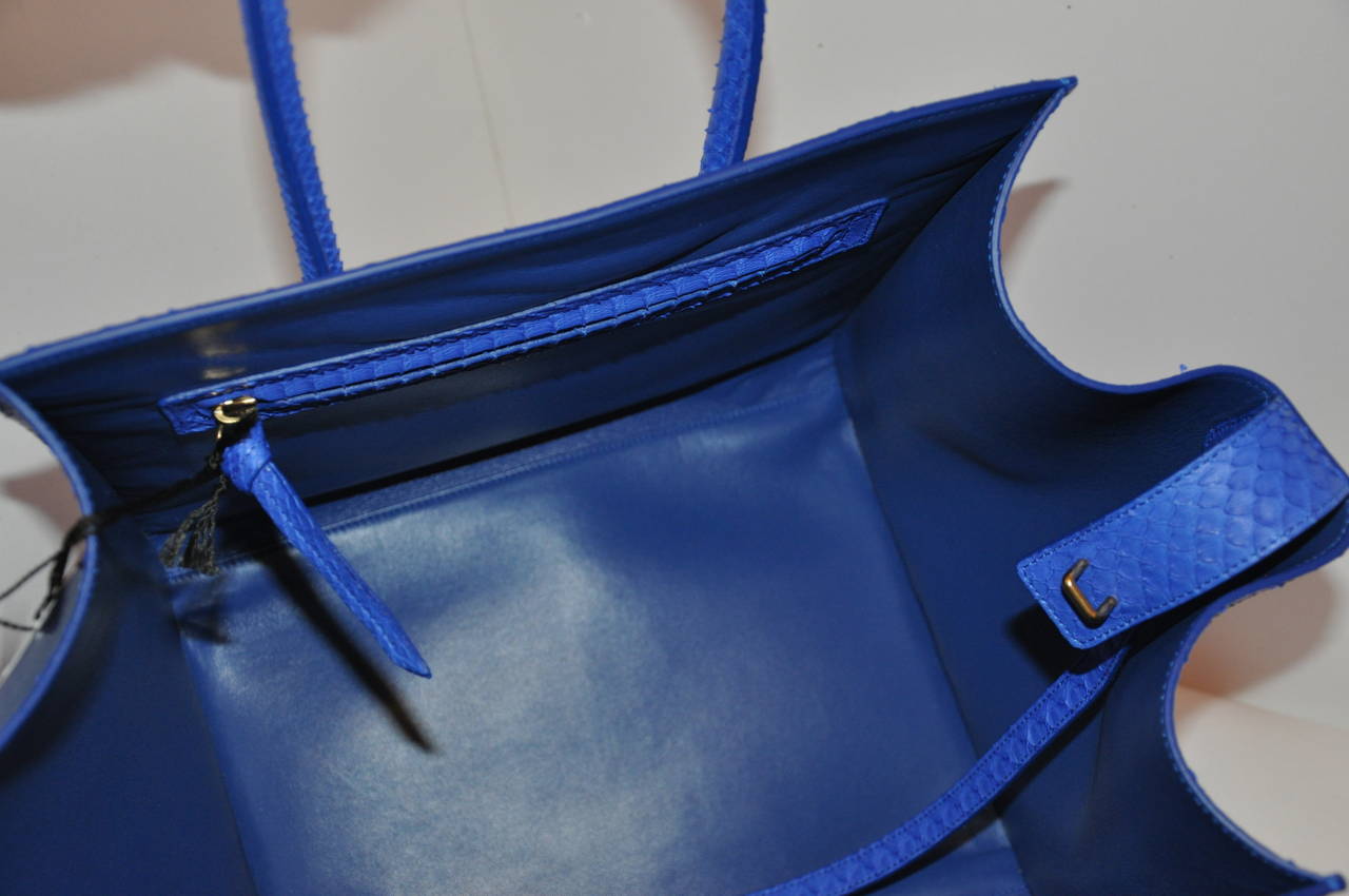 Celine Blue Python Handbag 4