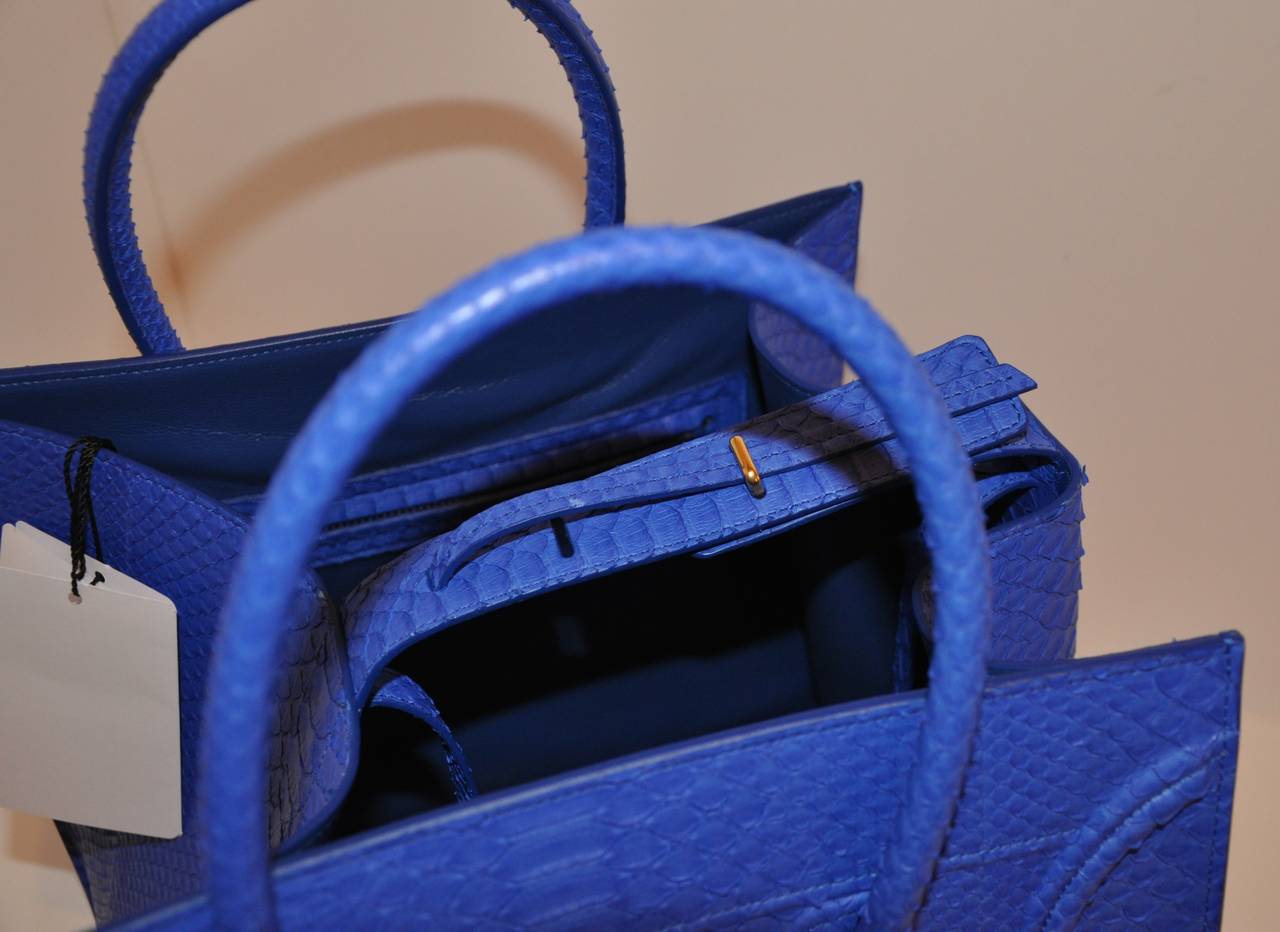 Celine Blue Python Handbag 5
