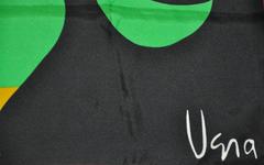 Rare Vera Multi-Color Block "Sun" Silk Scarf