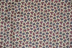 Ashear Beige Border with Tricolor Palsey Center Men's Silk Handkerchief