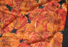 Geoffrey Beene "Autumn Leaves" Silk with Black Cashmere Fringe Scarf
