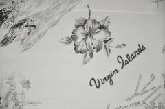 Cavanaghs "Scenes of The Virgin Islands" Scarf