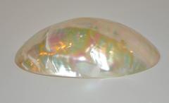 Beautiful "Mother-Of-Pearl" Earring & Ring Vanity Dish