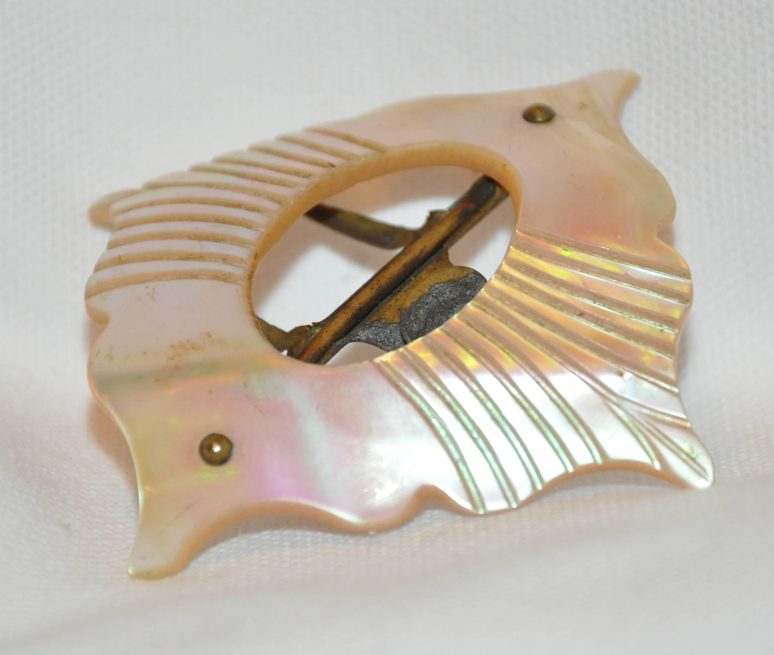        This wonderfully detailed hand-etched mother-of-pearl belt buckle is hand-carved with beautiful scallop edges. Hardware is of brass. The mother-of-pearl buckle measures 2 1/8 inches x 2 inches.