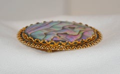 Natural Abalone with Gilded Gold Brooch