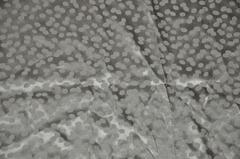 Large Double-Layer Silk Crepe di Chine Polka-Dot Scarf